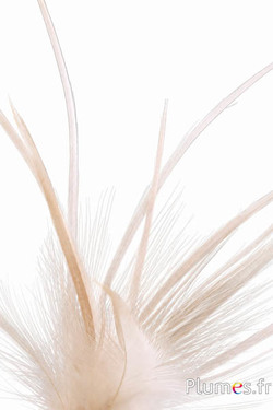 Reiher - 13-16 cm - naturweiss-creme